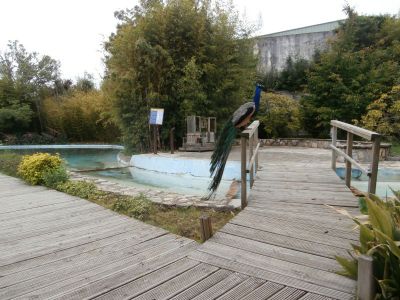1000_P5190160.jpg