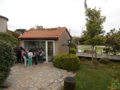 1000_P5190171.jpg