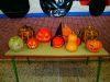 1000_PA300005.jpg