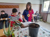 IMG-20250408-WA0041.jpg