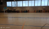 IMG_20260213_112657088.jpg