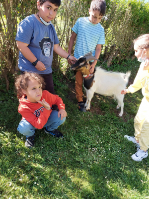Excursión 3º
