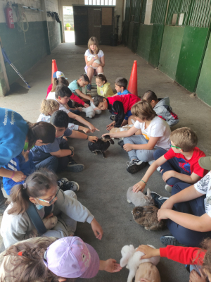 Excursión 3º
