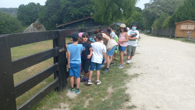 Marcelle 2º
