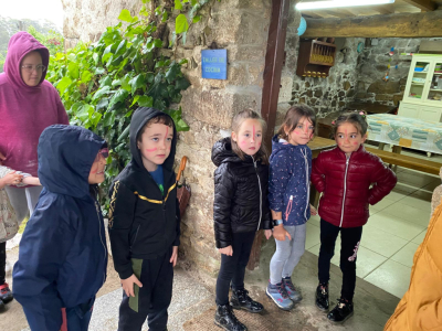 Palabras chave: 6º Infantil
