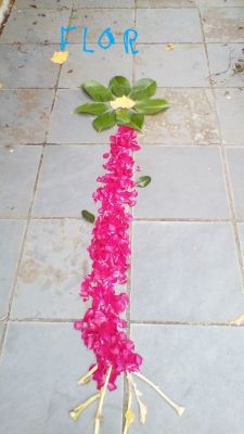 IMG_20200515_184817_2.jpg