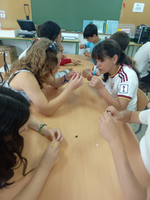 Polos eclipsados actividade 1 (6ºEP)
