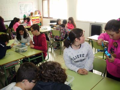 P4250188.jpg