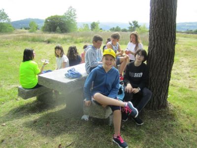 IMG_4385.jpg