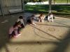 IMG_20201113_104354.jpg