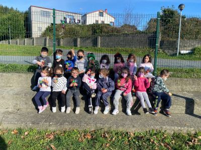 Decoración da alambrada EI - C
