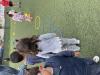 IMG_6789.jpeg