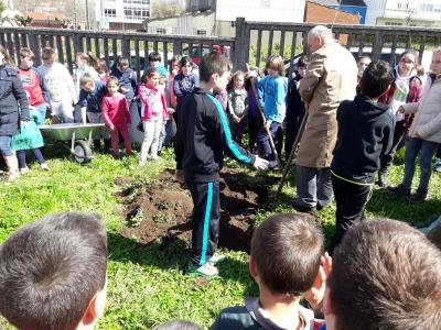10_alumnado_plantando_arbores_1.JPG