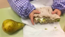 Alimentacion saudable