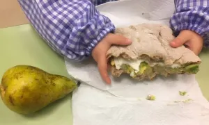 Alimentacion saudable