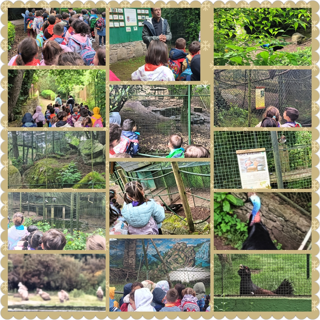 Excursión do alumnado a Avifauna