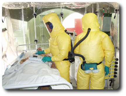 Illamento do virus do Ébola