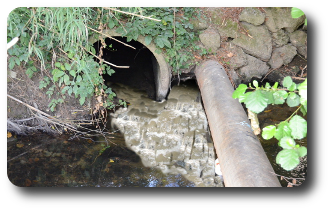 Contaminación das augas