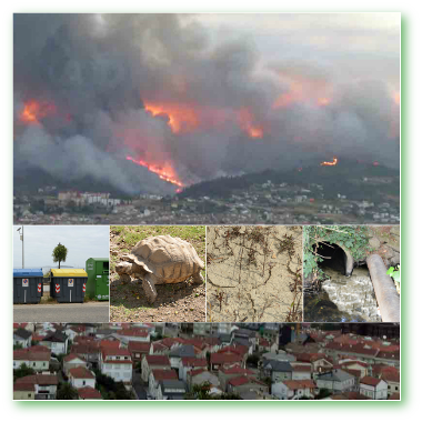 Contaminación medioambiental