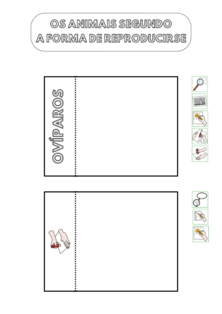 acróstico animais