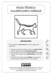 Tipos de vertebrados
