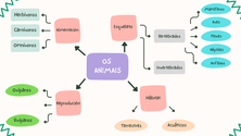 Mapa conceptual animais