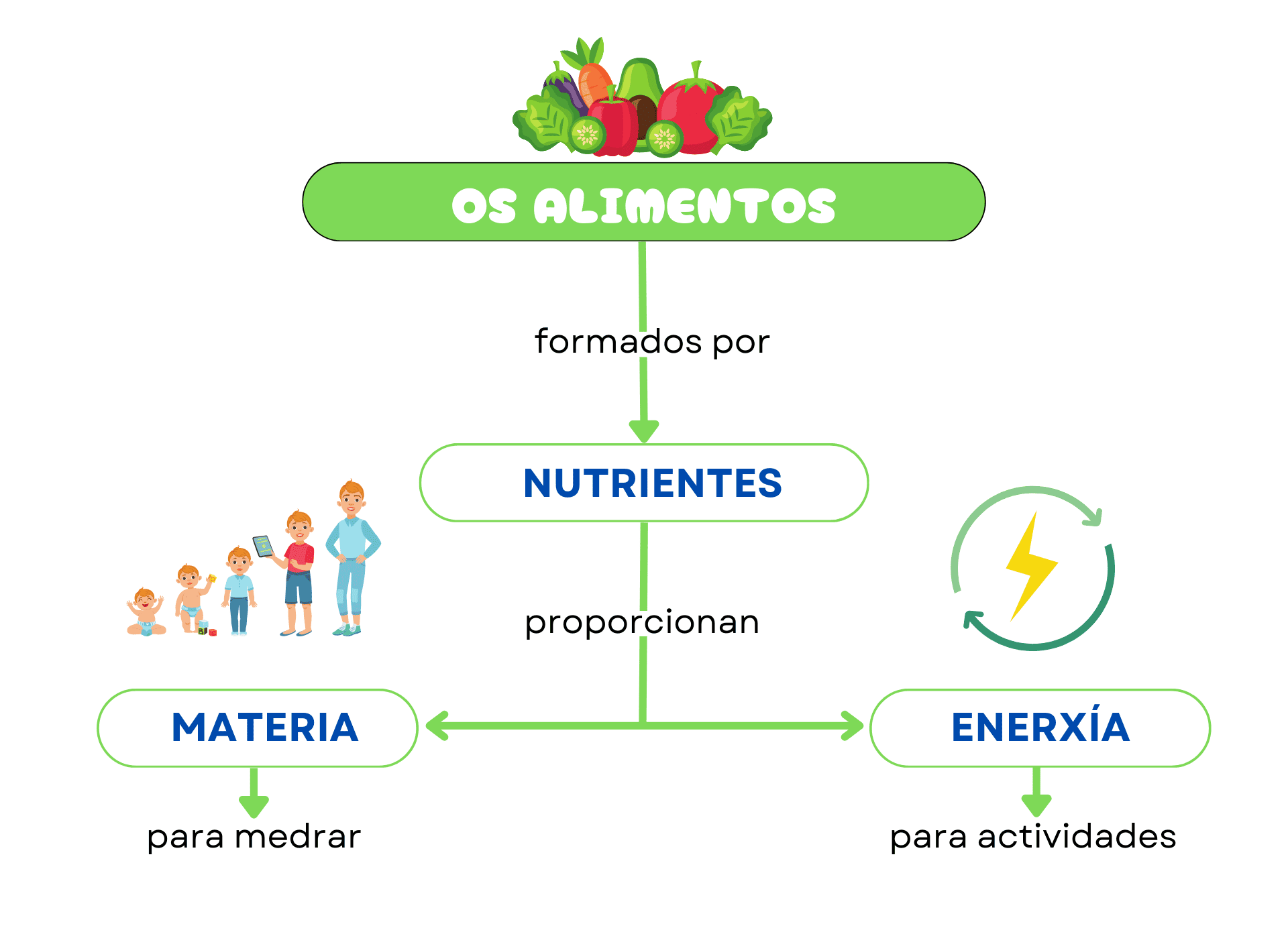 A nutrición