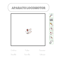 Álbum de invertebrados