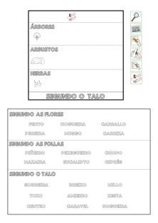 Planilla de traballo