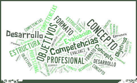 Eportafolios docente