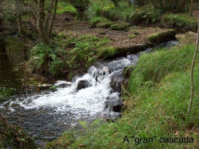 A-gran-cascada~0.jpg
