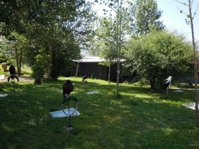 DSCN2498.jpg
