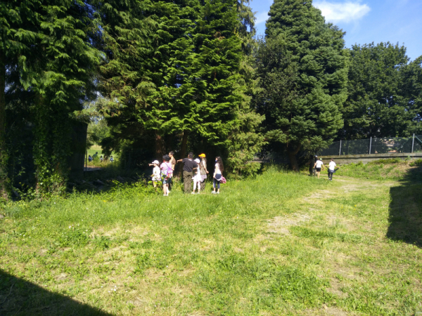 IMG_20220527_113418.jpg
