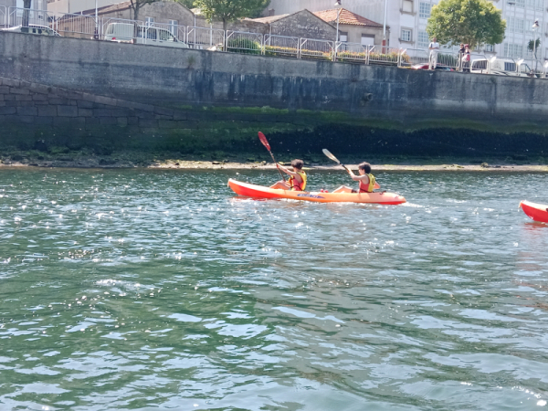 IMG_20260616_115451.jpg