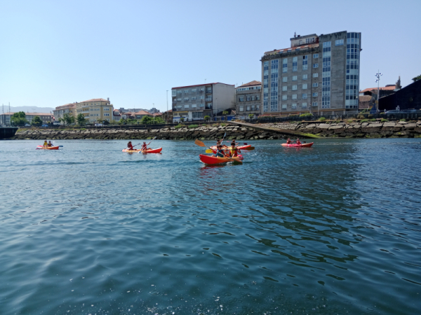 IMG_20260616_122720.jpg