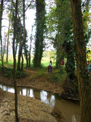 Praia-no-río.jpg