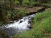 A-gran-cascada~0.jpg
