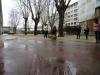 DSC09090~0.JPG