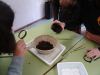 DSC09915.JPG
