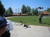 DSCN2510.jpg