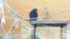 IMG-20170601-WA0028.jpeg