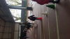 magosto_6º_infantil_(32).jpg