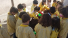 plantando_allos_28229~0.jpg