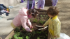 plantando_pirixel-ourego_281829.jpg