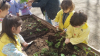plantando_pirixel-ourego_28629~0.jpg