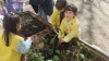 plantando_pirixel-ourego_28829~0.jpg