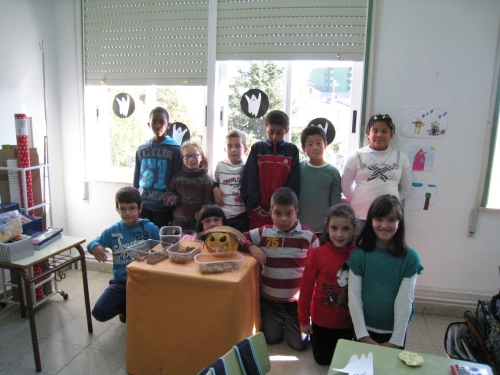 Nova_IMG_0314.jpg