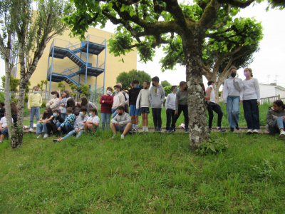 resized_IMG_2331
