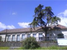 Aula Virtual: EEI de Mosende