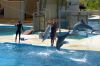 SAlou_2009-16_[].jpg